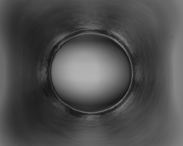 X0000095931163200801111249