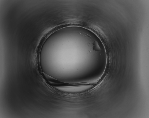 X0000095931164200801111249