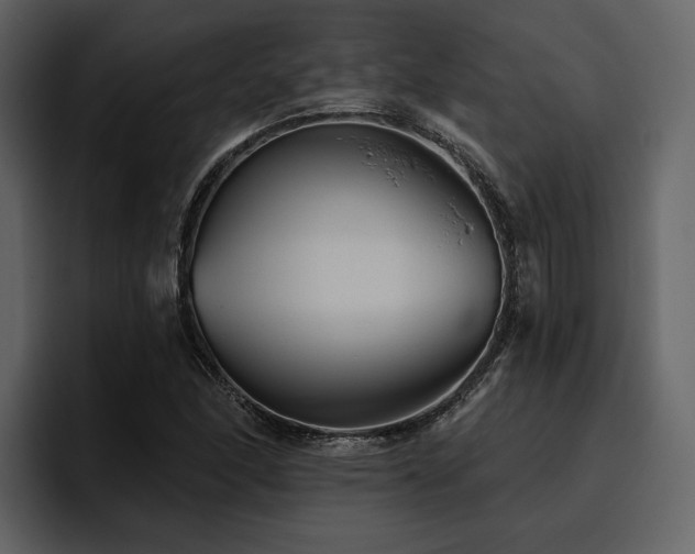 X0000095931166200801111249