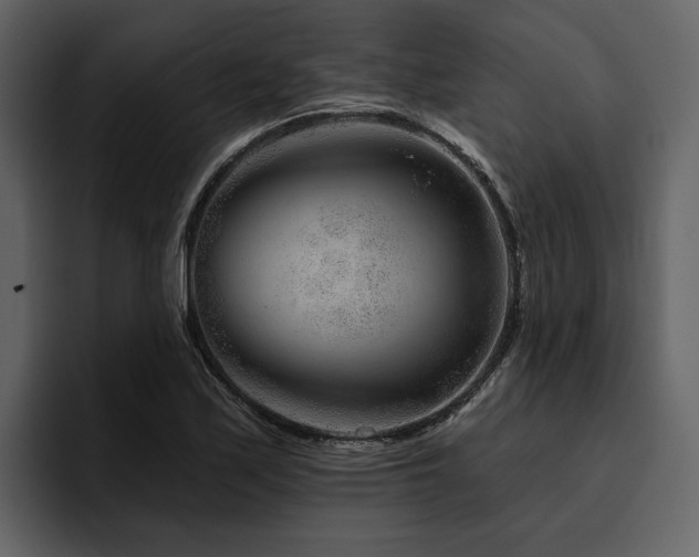 X0000095931171200801111249