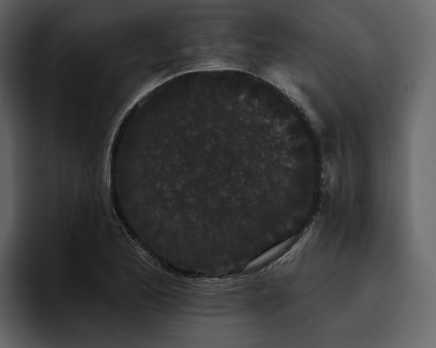 X0000095931173200801111249