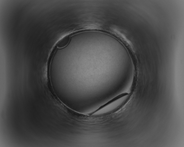 X0000095931174200801111249