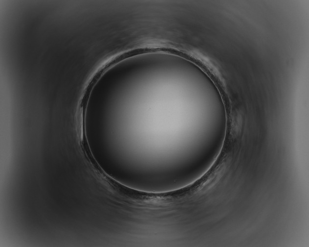 X0000095931175200801111249
