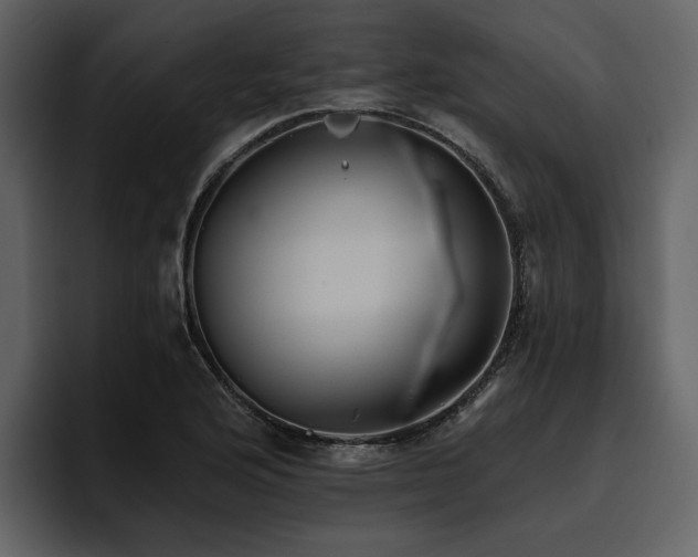 X0000095931176200801111249