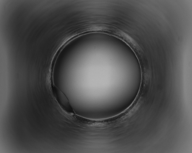 X0000095931178200801111249