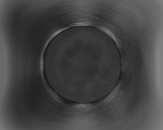 X0000095931179200801111249