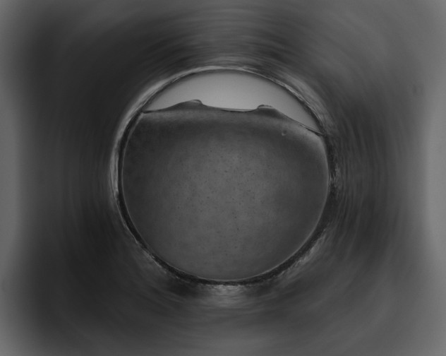 X0000095931180200801111249
