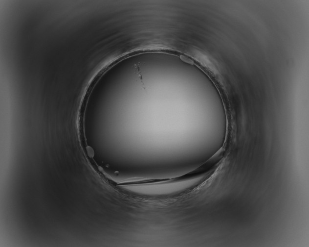 X0000095931181200801111249