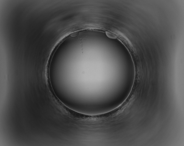 X0000095931182200801111249