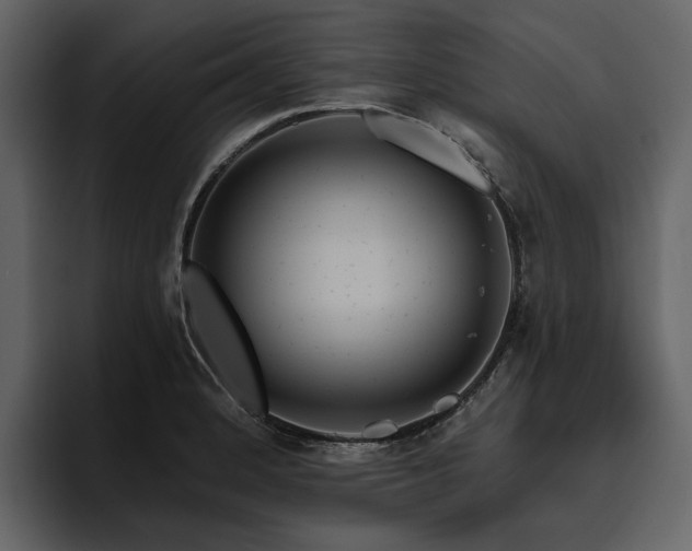 X0000095931184200801111249