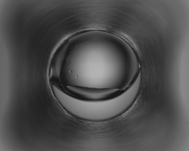 X0000095931188200801111249
