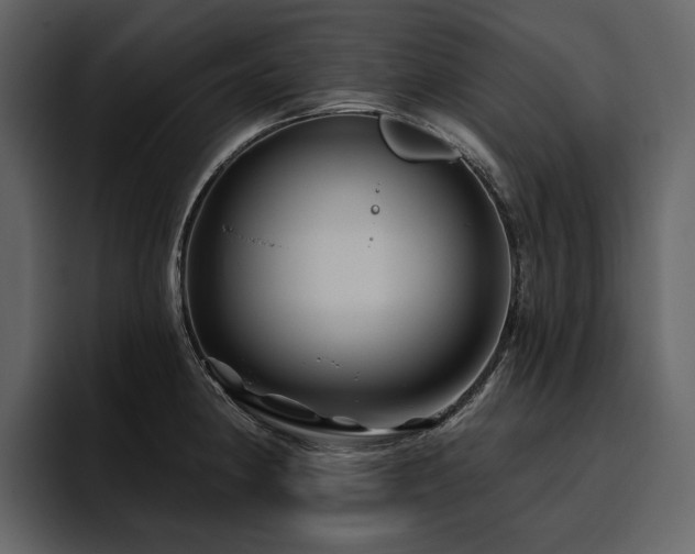 X0000095931190200801111249
