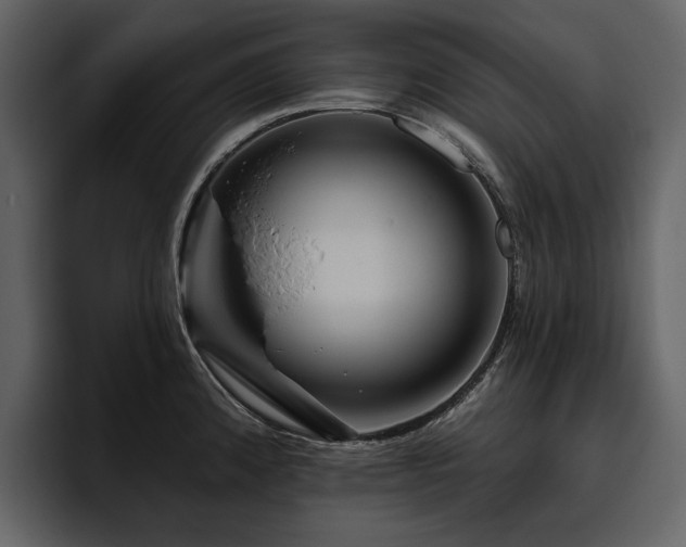 X0000095931192200801111249