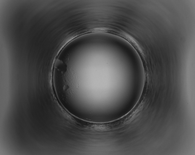 X0000095931194200801111249