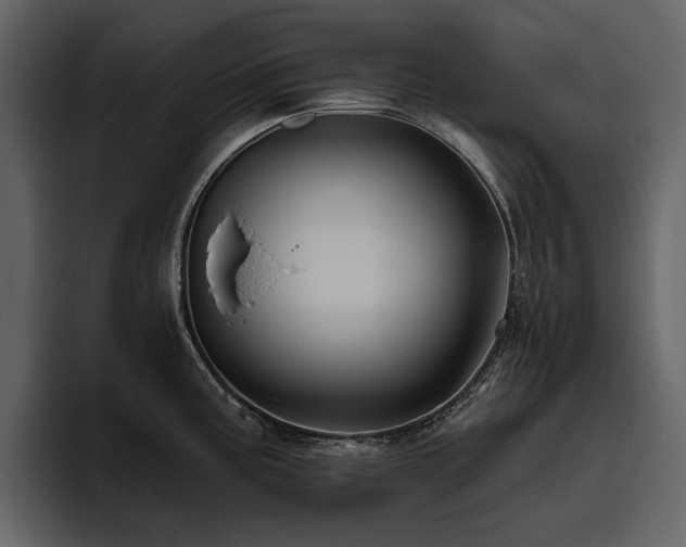 X0000095931195200801111249