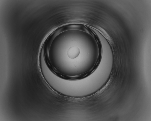 X0000095931196200801111249