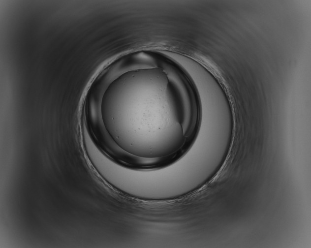 X0000095931200200801111249