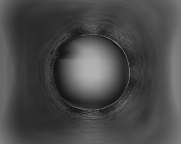 X0000095931201200801111248