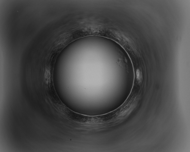 X0000095931203200801111248