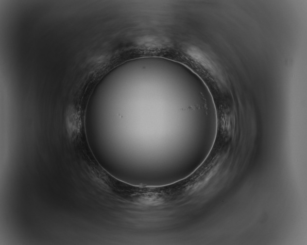 X0000095931204200801111248