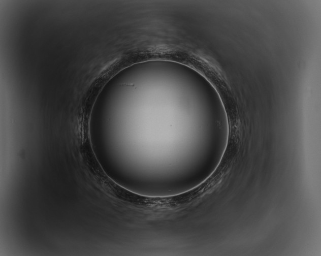 X0000095931205200801111248