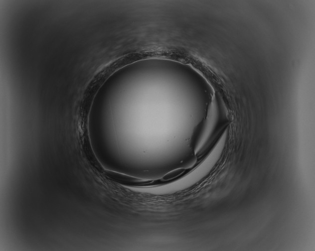 X0000095931206200801111248
