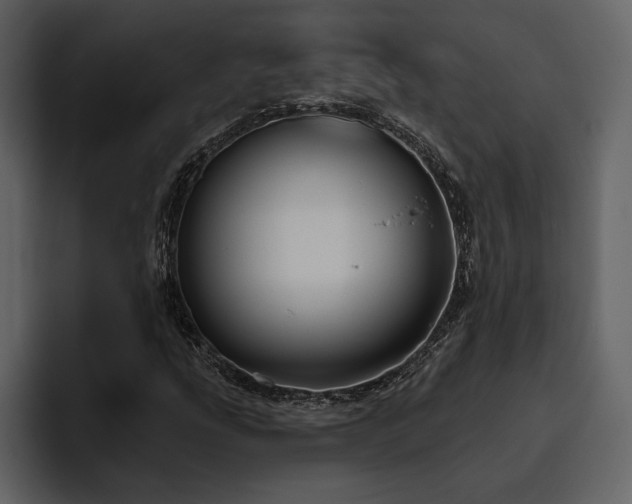 X0000095931207200801111248