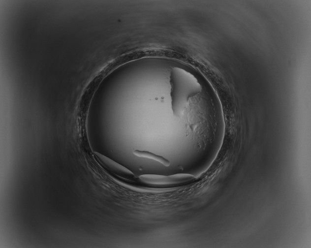 X0000095931208200801111248