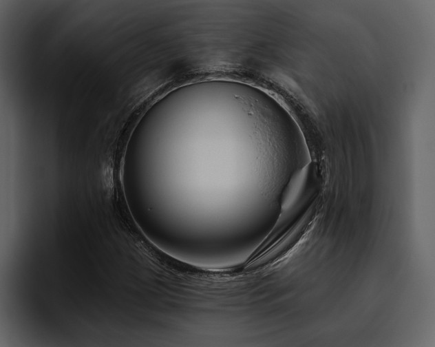 X0000095931209200801111248