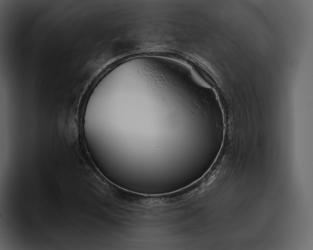 X0000095931212200801111248
