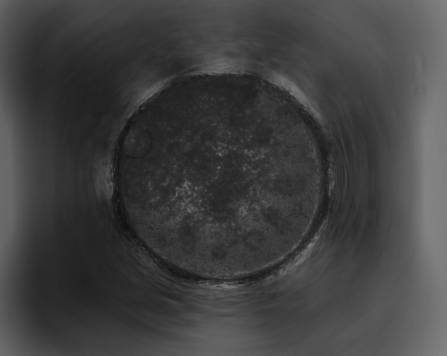 X0000095931213200801111248