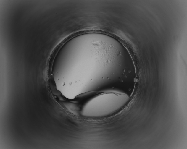 X0000095931216200801111248