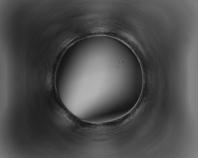 X0000095931217200801111248