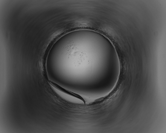 X0000095931218200801111248