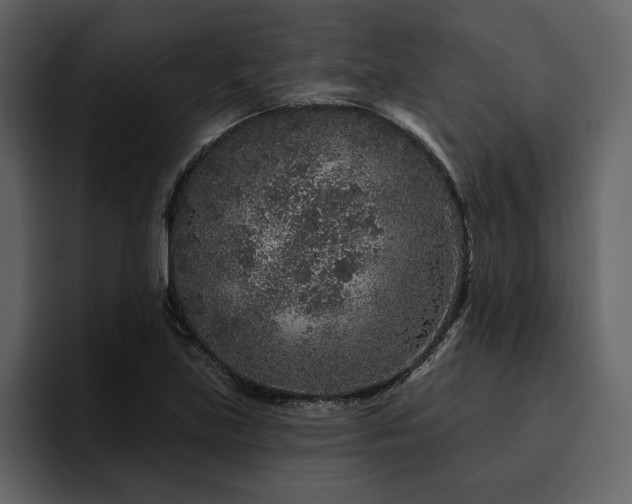 X0000095931219200801111248