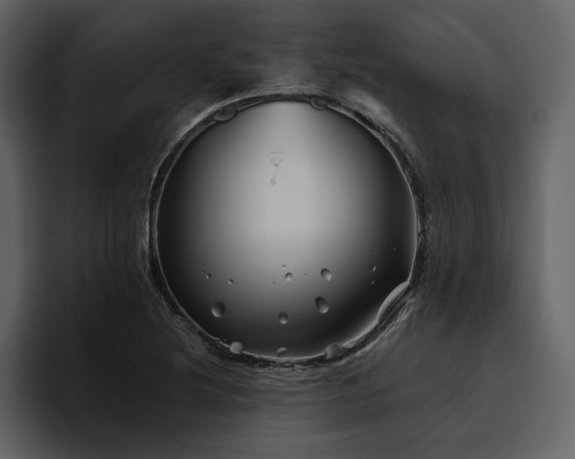 X0000095931220200801111248