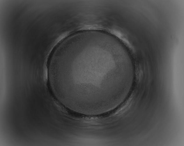 X0000095931221200801111248
