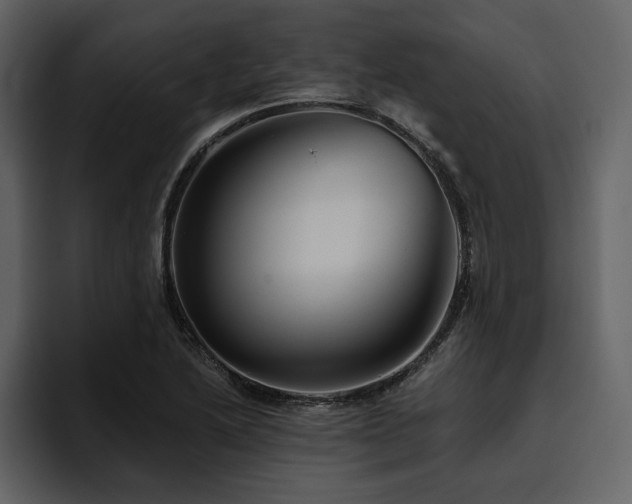 X0000095931222200801111248