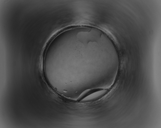 X0000095931224200801111248