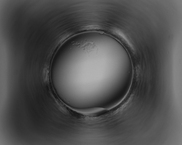 X0000095931225200801111248