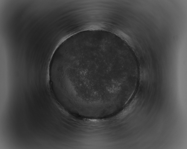 X0000095931226200801111248