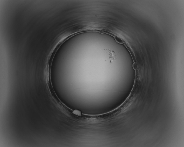 X0000095931227200801111248