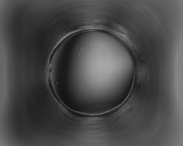 X0000095931228200801111248