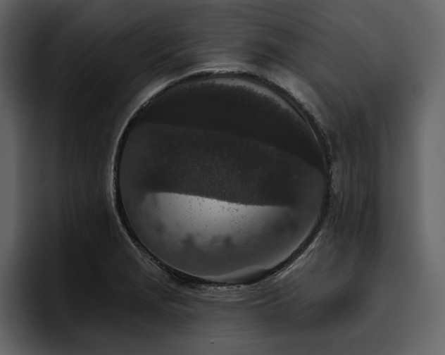 X0000095931229200801111248