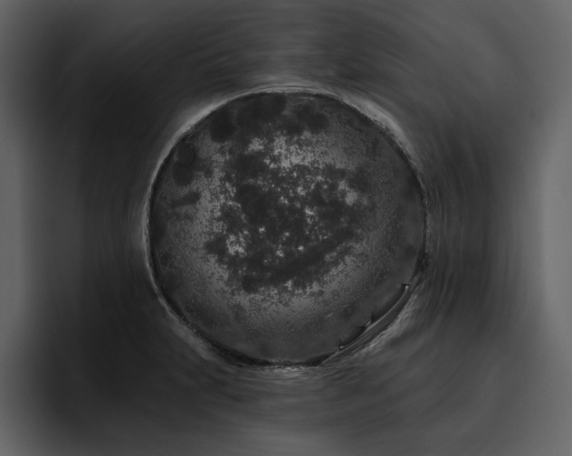 X0000095931231200801111248