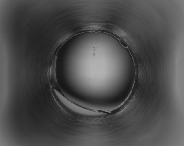 X0000095931233200801111248