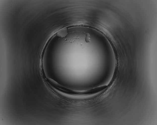 X0000095931234200801111248