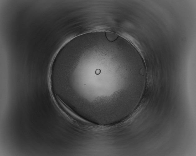 X0000095931235200801111248