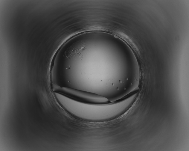 X0000095931236200801111248