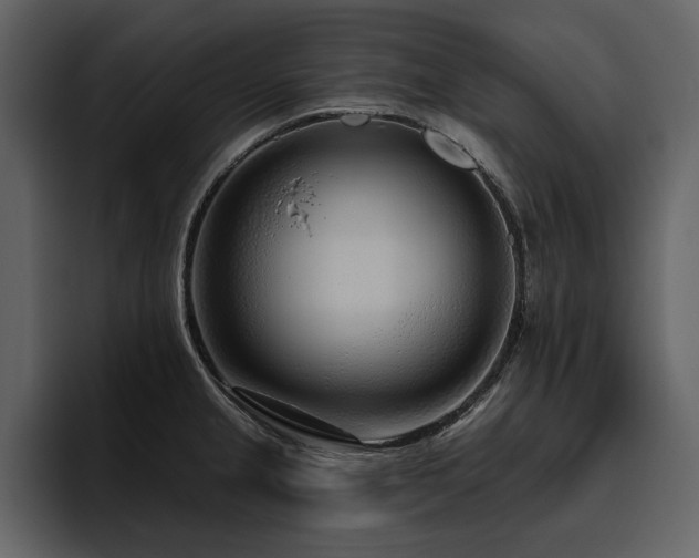 X0000095931237200801111248